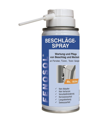 FENOPLAST Fenosol Beschl&auml;gespray (100 ml Spraydose)