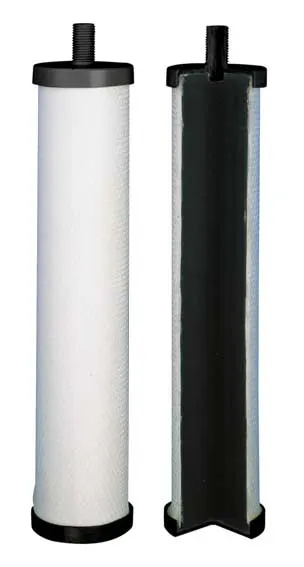IZS-31155-2