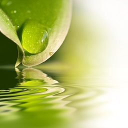 Accessoires & Zubehör image